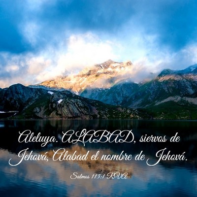 Picture 03 - Salmos 113:1 RVA - Aleluya. ALABAD, siervos de Jehová, Alabad el - Bible Verse Picture
