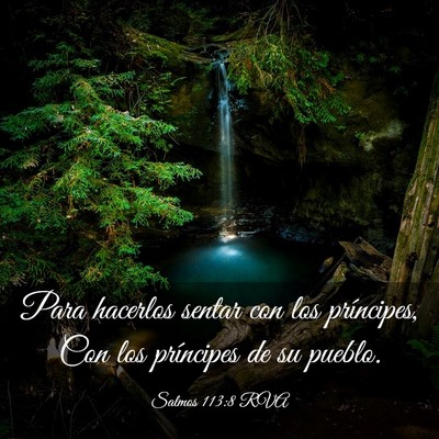 Picture 03 - Salmos 113:8 RVA - Para hacerlos sentar con los príncipes, Con los - Bible Verse Picture