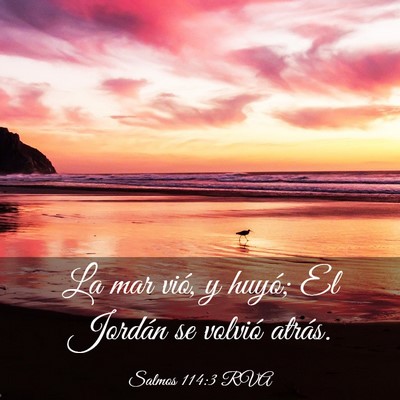 Picture 03 - Salmos 114:3 RVA - La mar vió, y huyó; El Jordán se volvió - Bible Verse Picture