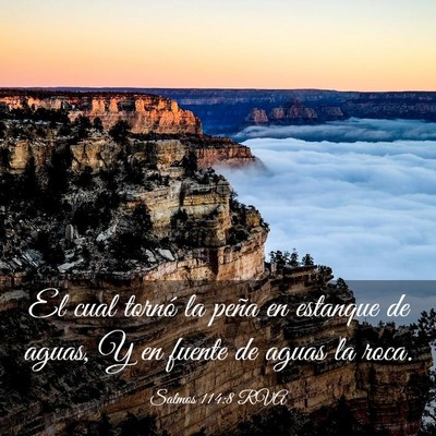 Picture 03 - Salmos 114:8 RVA - El cual tornó la peña en estanque de aguas, Y - Bible Verse Picture