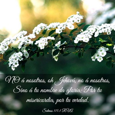 Picture 03 - Salmos 115:1 RVA - NO á nosotros, oh Jehová, no á nosotros, Sino - Bible Verse Picture