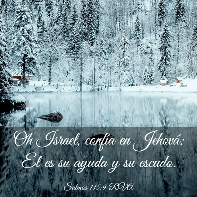 Picture 03 - Salmos 115:9 RVA - Oh Israel, confía en Jehová: El es su ayuda y - Bible Verse Picture