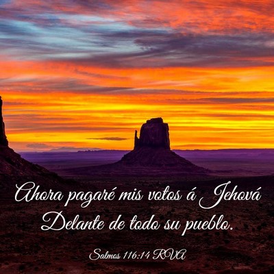 Picture 03 - Salmos 116:14 RVA - Ahora pagaré mis votos á Jehová Delante de - Bible Verse Picture