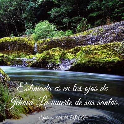 Picture 03 - Salmos 116:15 RVA - Estimada es en los ojos de Jehová La muerte de - Bible Verse Picture