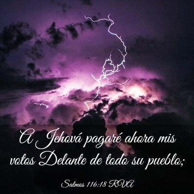 Picture 03 - Salmos 116:18 RVA - A Jehová pagaré ahora mis votos Delante de todo - Bible Verse Picture