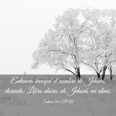 Picture 03 - Salmos 116:4 RVA - Entonces invoqué el nombre de Jehová, diciendo: - Bible Verse Picture