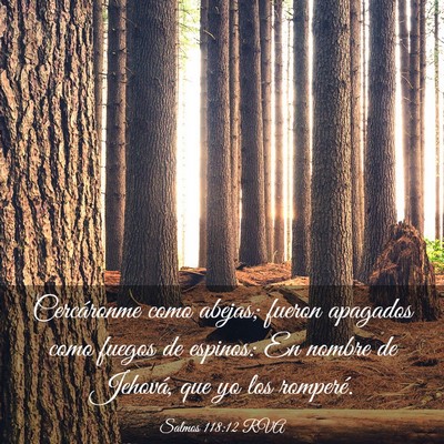 Picture 03 - Salmos 118:12 RVA - Cercáronme como abejas; fueron apagados como - Bible Verse Picture