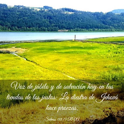 Picture 03 - Salmos 118:15 RVA - Voz de júbilo y de salvación hay en las tiendas - Bible Verse Picture