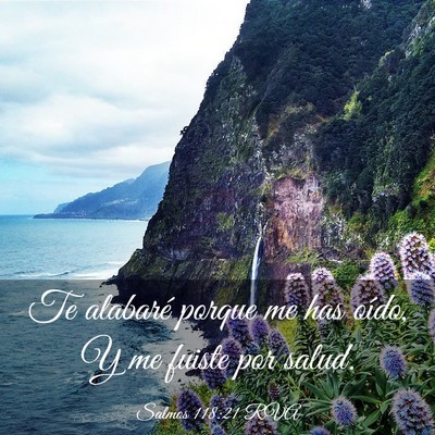 Picture 03 - Salmos 118:21 RVA - Te alabaré porque me has oído, Y me fuiste por - Bible Verse Picture
