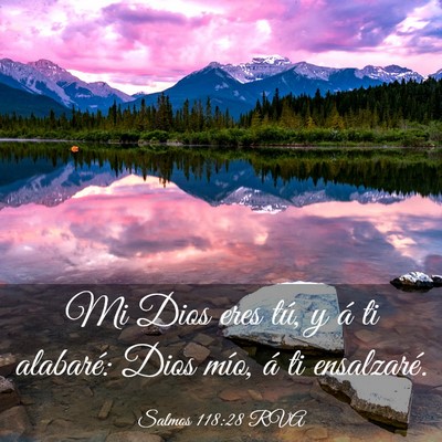 Picture 03 - Salmos 118:28 RVA - Mi Dios eres tú, y á ti alabaré: Dios mío, á - Bible Verse Picture