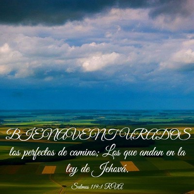Picture 03 - Salmos 119:1 RVA - BIENAVENTURADOS los perfectos de camino; Los que - Bible Verse Picture