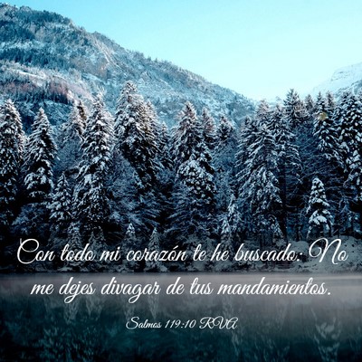 Picture 03 - Salmos 119:10 RVA - Con todo mi corazón te he buscado: No me dejes - Bible Verse Picture