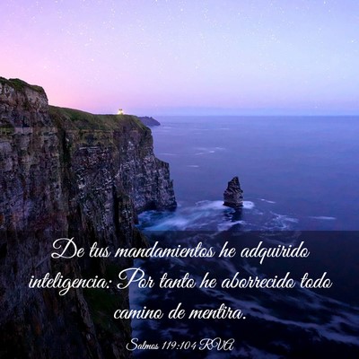 Picture 03 - Salmos 119:104 RVA - De tus mandamientos he adquirido inteligencia: - Bible Verse Picture