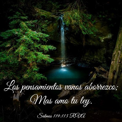 Picture 03 - Salmos 119:113 RVA - Los pensamientos vanos aborrezco; Mas amo tu - Bible Verse Picture