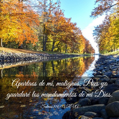 Picture 03 - Salmos 119:115 RVA - Apartaos de mí, malignos; Pues yo guardaré los - Bible Verse Picture