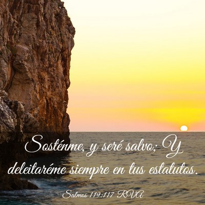 Picture 03 - Salmos 119:117 RVA - Sosténme, y seré salvo; Y deleitaréme siempre - Bible Verse Picture