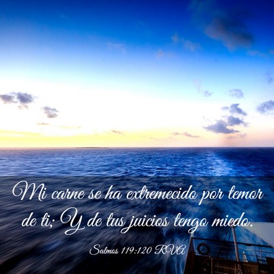 Picture 03 - Salmos 119:120 RVA - Mi carne se ha extremecido por temor de ti; Y de - Bible Verse Picture