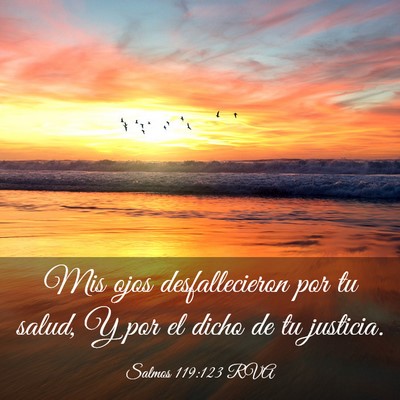 Picture 03 - Salmos 119:123 RVA - Mis ojos desfallecieron por tu salud, Y por el - Bible Verse Picture