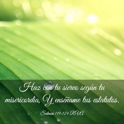 Picture 03 - Salmos 119:124 RVA - Haz con tu siervo según tu misericordia, Y - Bible Verse Picture