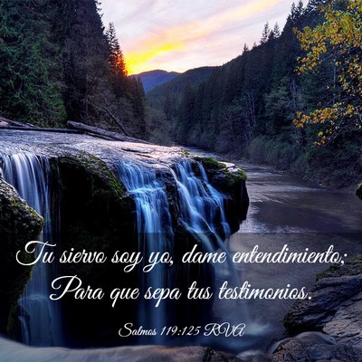 Picture 03 - Salmos 119:125 RVA - Tu siervo soy yo, dame entendimiento; Para que - Bible Verse Picture