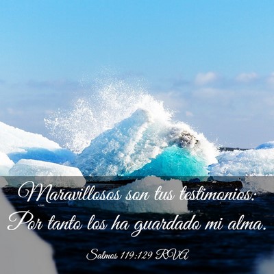 Picture 03 - Salmos 119:129 RVA - Maravillosos son tus testimonios: Por tanto los - Bible Verse Picture