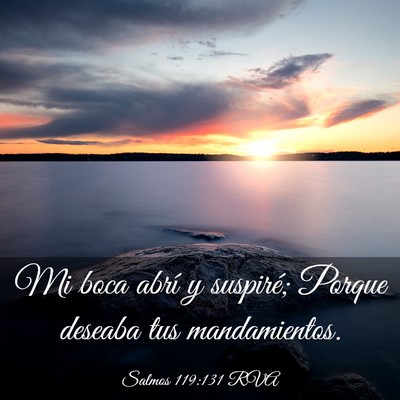 Picture 03 - Salmos 119:131 RVA - Mi boca abrí y suspiré; Porque deseaba tus - Bible Verse Picture