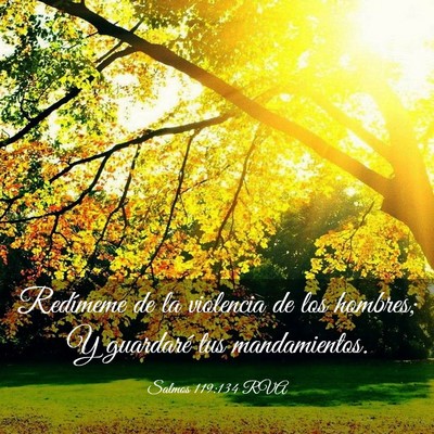Picture 03 - Salmos 119:134 RVA - Redímeme de la violencia de los hombres; Y - Bible Verse Picture