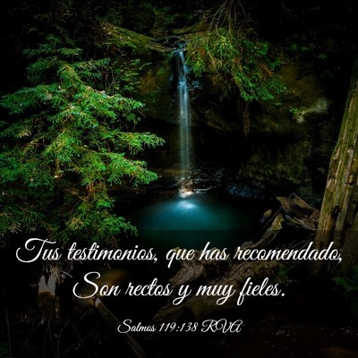 Picture 03 - Salmos 119:138 RVA - Tus testimonios, que has recomendado, Son rectos - Bible Verse Picture