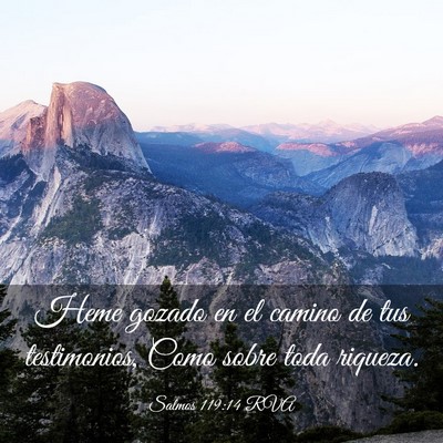 Picture 03 - Salmos 119:14 RVA - Heme gozado en el camino de tus testimonios, Como - Bible Verse Picture