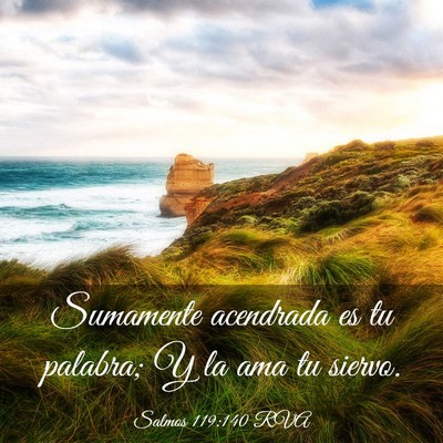 Picture 03 - Salmos 119:140 RVA - Sumamente acendrada es tu palabra; Y la ama tu - Bible Verse Picture