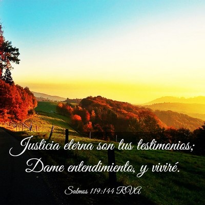 Picture 03 - Salmos 119:144 RVA - Justicia eterna son tus testimonios; Dame - Bible Verse Picture