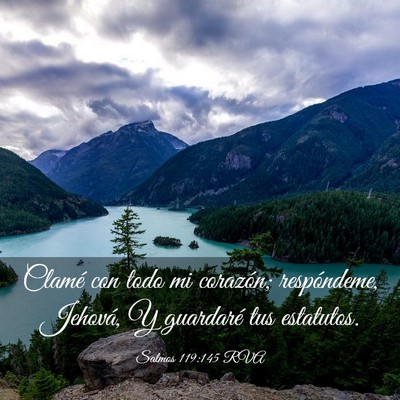 Picture 03 - Salmos 119:145 RVA - Clamé con todo mi corazón; respóndeme, - Bible Verse Picture