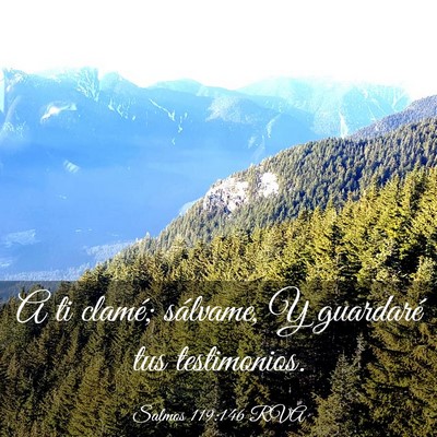 Picture 03 - Salmos 119:146 RVA - A ti clamé; sálvame, Y guardaré tus - Bible Verse Picture