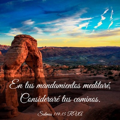 Picture 03 - Salmos 119:15 RVA - En tus mandamientos meditaré, Consideraré tus - Bible Verse Picture
