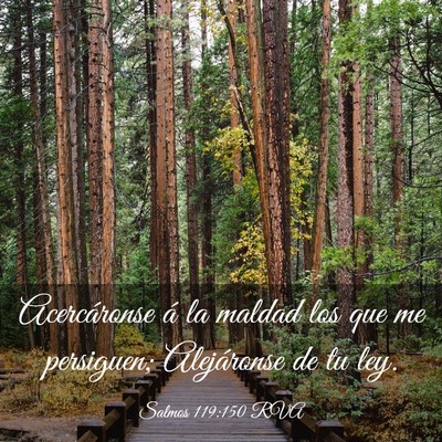 Picture 03 - Salmos 119:150 RVA - Acercáronse á la maldad los que me persiguen; - Bible Verse Picture