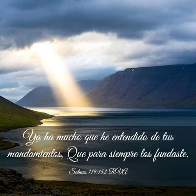 Picture 03 - Salmos 119:152 RVA - Ya ha mucho que he entendido de tus mandamientos, - Bible Verse Picture