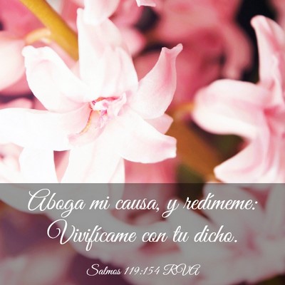 Picture 03 - Salmos 119:154 RVA - Aboga mi causa, y redímeme: Vivifícame con tu - Bible Verse Picture