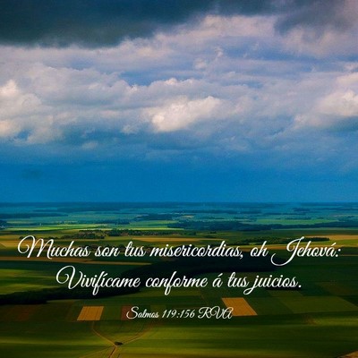 Picture 03 - Salmos 119:156 RVA - Muchas son tus misericordias, oh Jehová: - Bible Verse Picture
