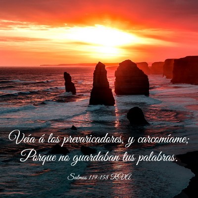 Picture 03 - Salmos 119:158 RVA - Veía á los prevaricadores, y carcomíame; - Bible Verse Picture