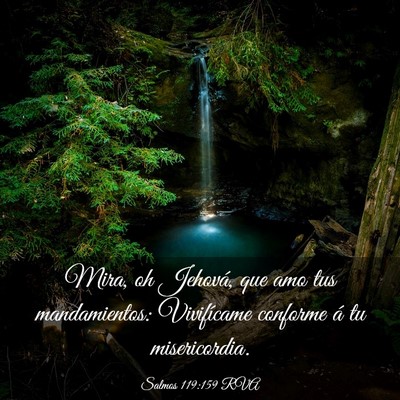 Picture 03 - Salmos 119:159 RVA - Mira, oh Jehová, que amo tus mandamientos: - Bible Verse Picture