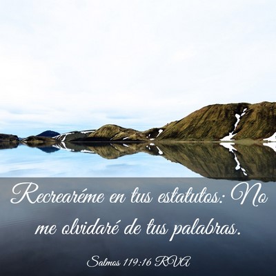 Picture 03 - Salmos 119:16 RVA - Recrearéme en tus estatutos: No me olvidaré de - Bible Verse Picture