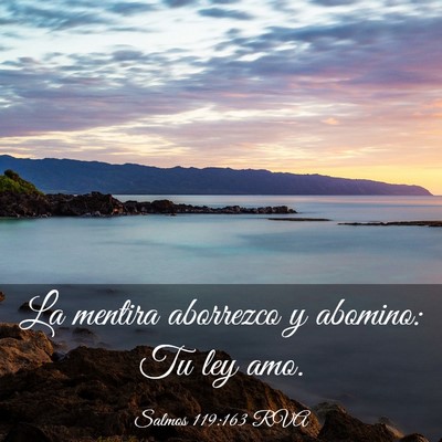 Picture 03 - Salmos 119:163 RVA - La mentira aborrezco y abomino: Tu ley - Bible Verse Picture