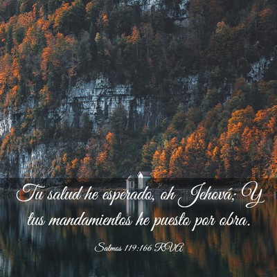 Picture 03 - Salmos 119:166 RVA - Tu salud he esperado, oh Jehová; Y tus - Bible Verse Picture