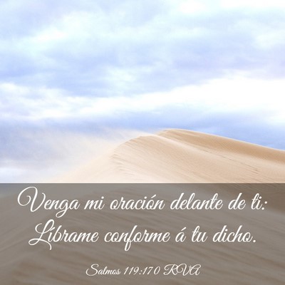 Picture 03 - Salmos 119:170 RVA - Venga mi oración delante de ti: Líbrame - Bible Verse Picture