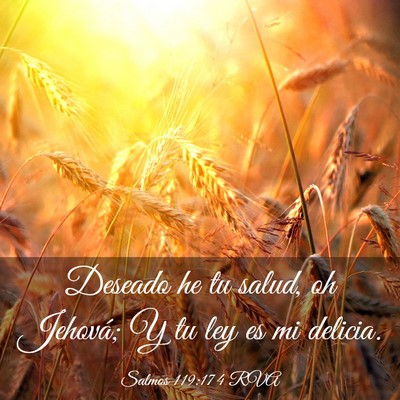Picture 03 - Salmos 119:174 RVA - Deseado he tu salud, oh Jehová; Y tu ley es mi - Bible Verse Picture
