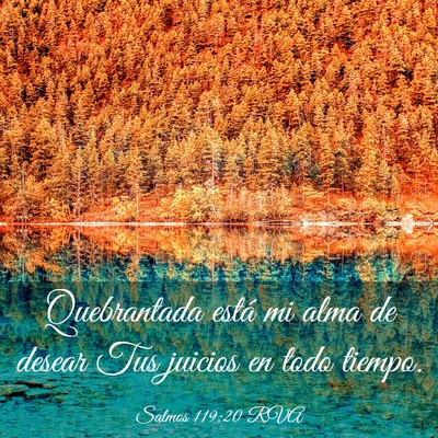 Picture 03 - Salmos 119:20 RVA - Quebrantada está mi alma de desear Tus juicios - Bible Verse Picture