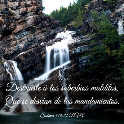 Picture 03 - Salmos 119:21 RVA - Destruiste á los soberbios malditos, Que se - Bible Verse Picture
