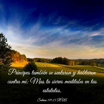 Picture 03 - Salmos 119:23 RVA - Príncipes también se sentaron y hablaron contra - Bible Verse Picture