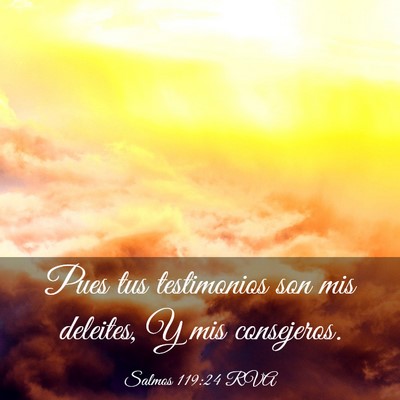 Picture 03 - Salmos 119:24 RVA - Pues tus testimonios son mis deleites, Y mis - Bible Verse Picture