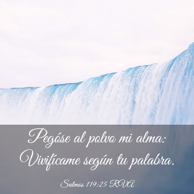 Picture 03 - Salmos 119:25 RVA - Pegóse al polvo mi alma: Vivifícame según tu - Bible Verse Picture